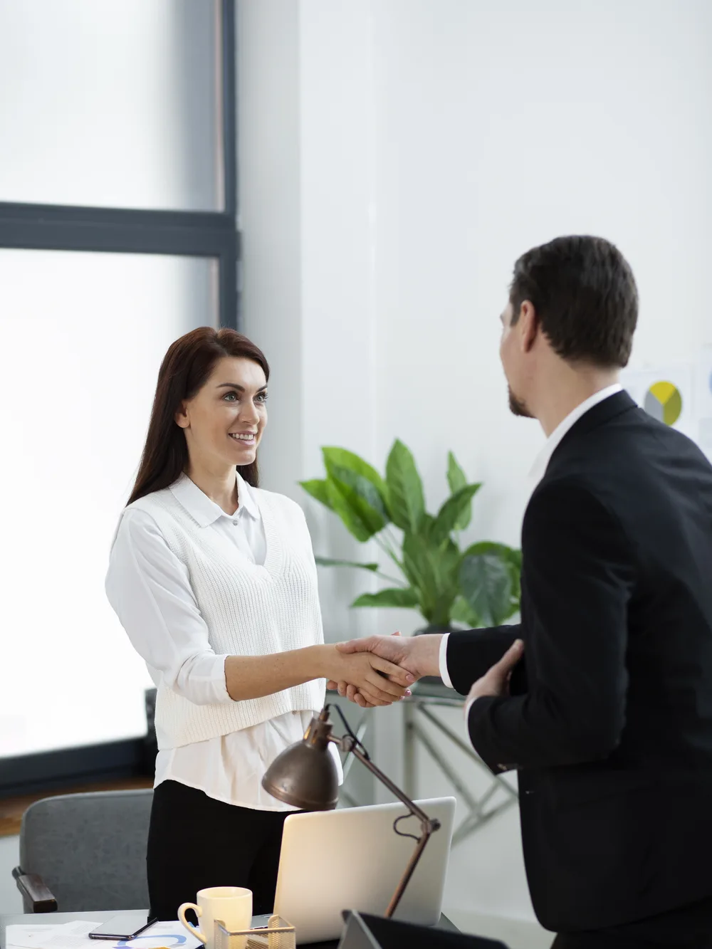 Client and partner shaking hands in a bright office